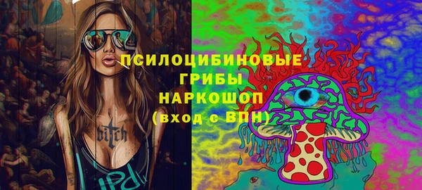 МДПВ Алзамай