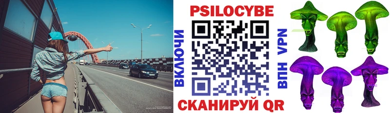 Псилоцибиновые грибы мицелий  наркошоп  кракен онион  Грязовец 
